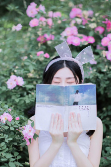 机战私服发布